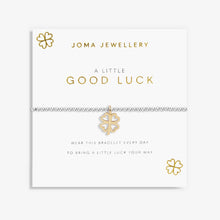 Load image into Gallery viewer, Children&#39;s A Little &#39;Good Luck&#39; Bracelet