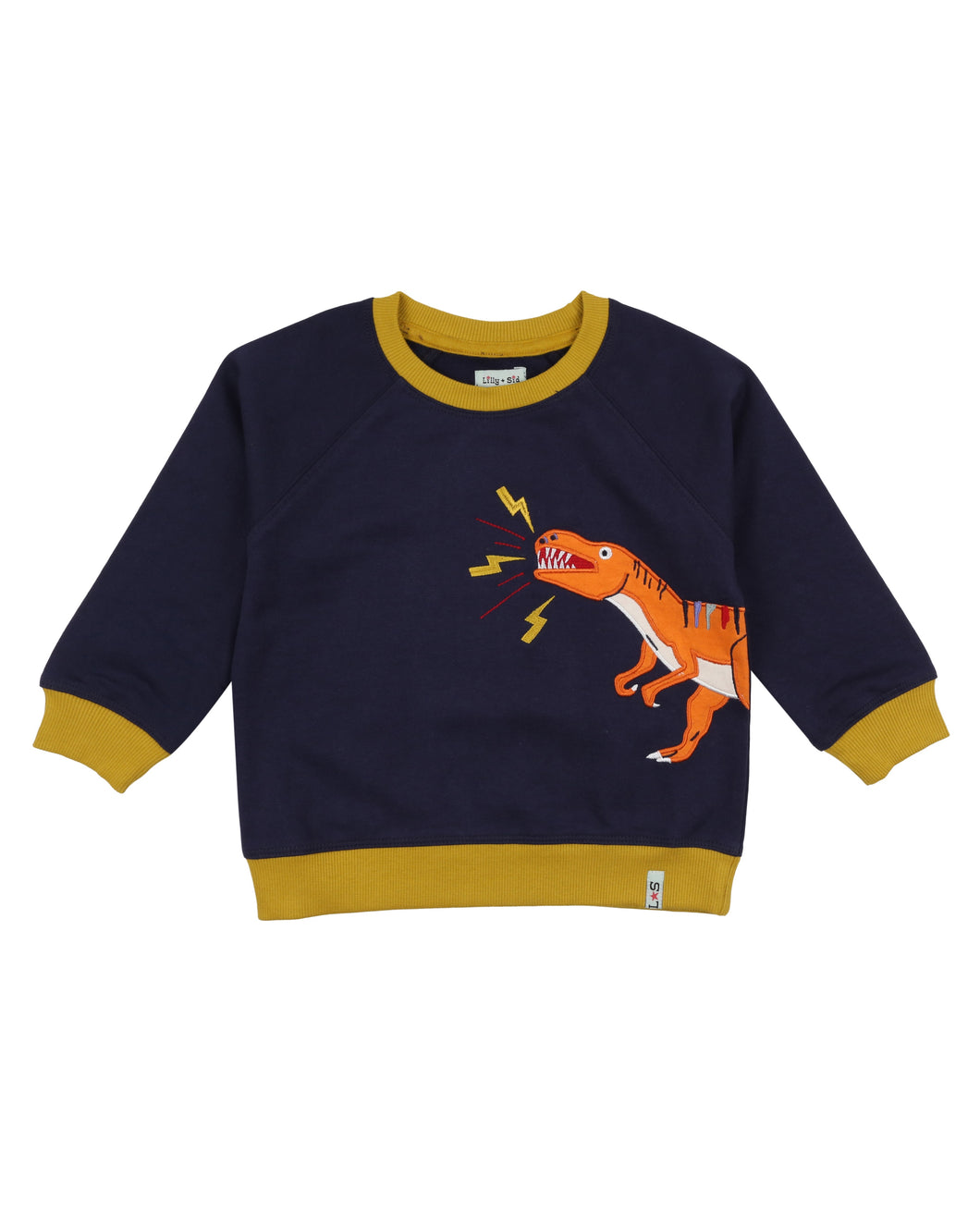 DINO APPLIQUE SWEATSHIRT