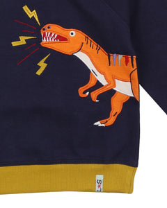 DINO APPLIQUE SWEATSHIRT